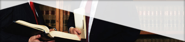 Litigation & Amicus Brief Program